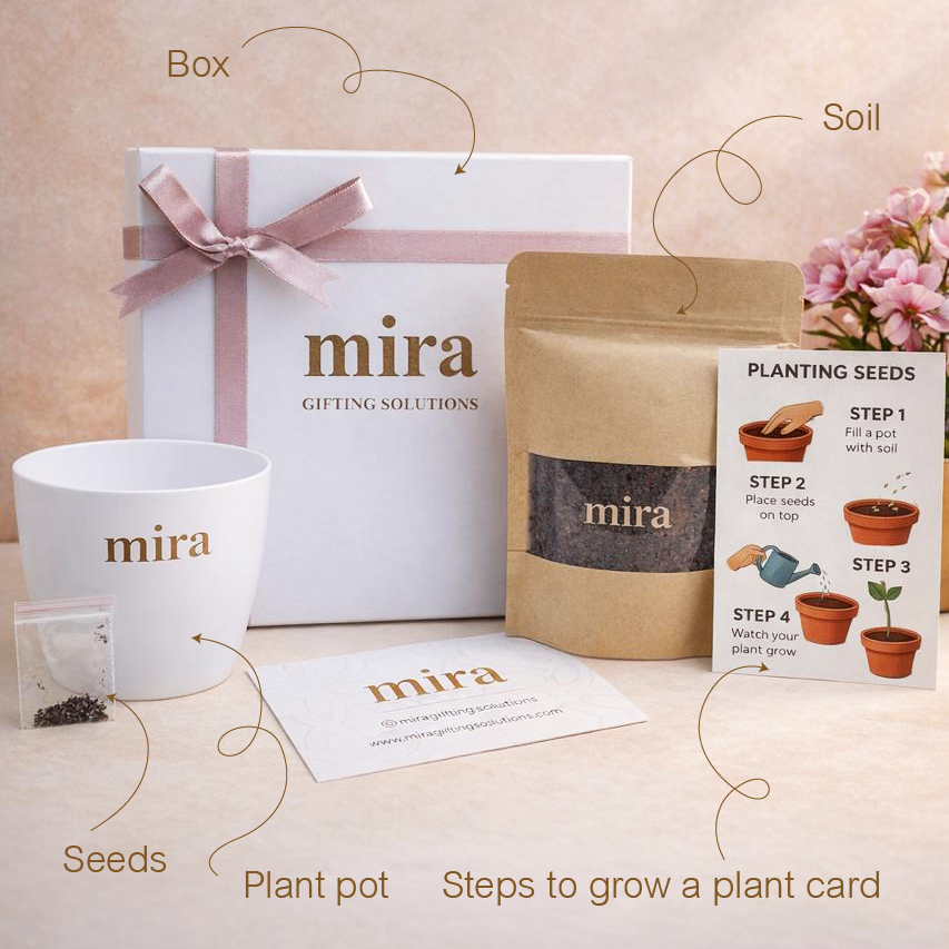 Gifting set with 'mira' branding including a box, seeds, plant pot, and planting guide on a light background.