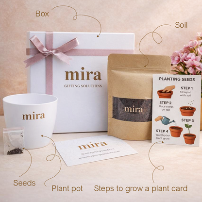 Gifting set with 'mira' branding including a box, seeds, plant pot, and planting guide on a light background.