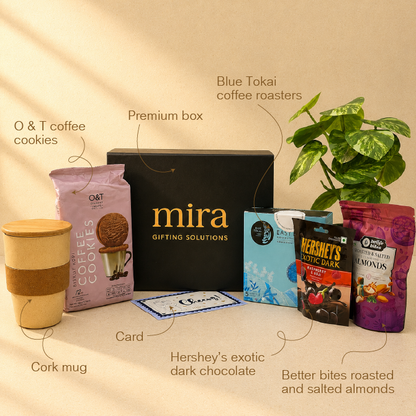 Brew & Bite Collection