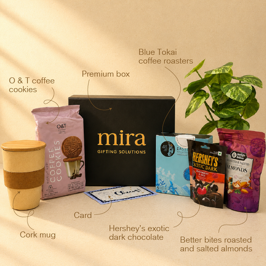 Brew & Bite Collection