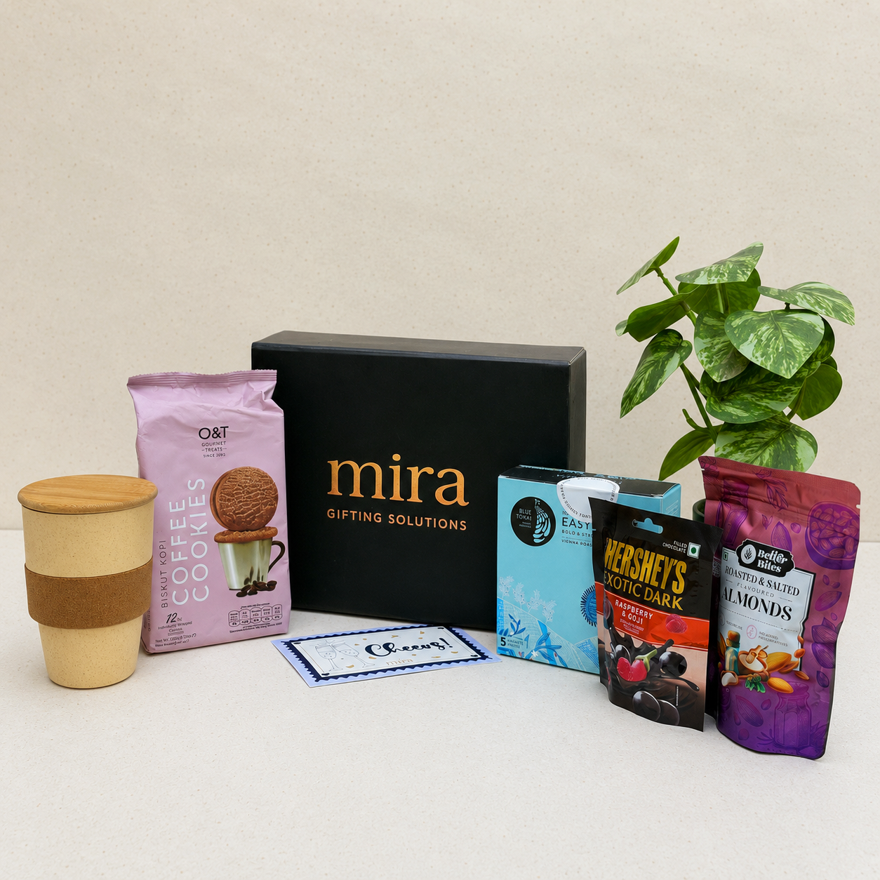 Brew & Bite Collection
